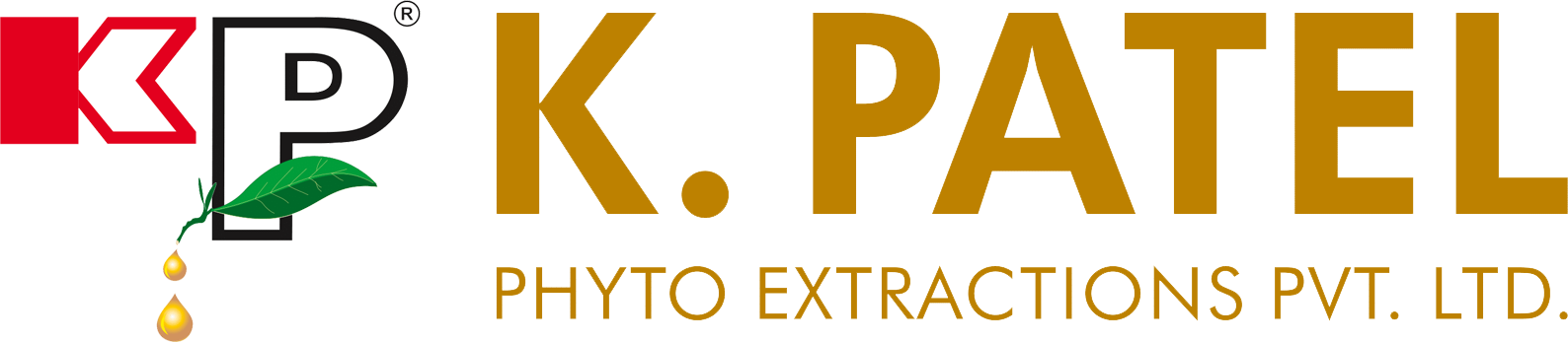 K P logo without line